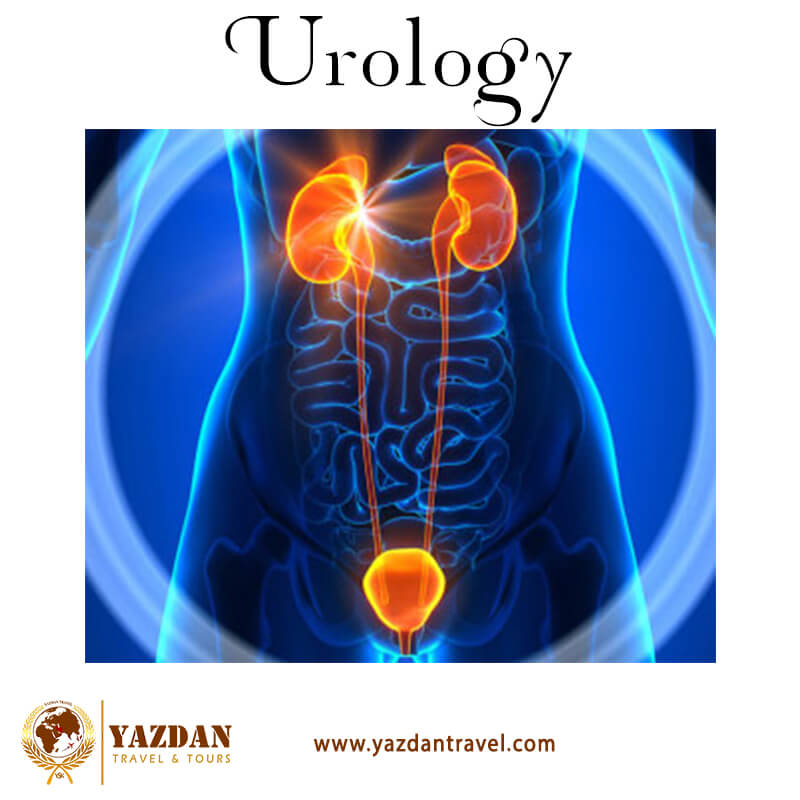 urology
